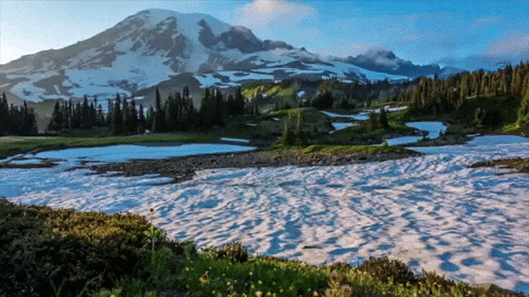 pretty washington gif