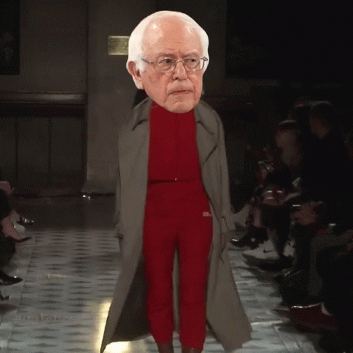 Bernie Sanders GIF