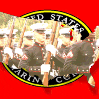 Marine GIFs - Find & Share on GIPHY