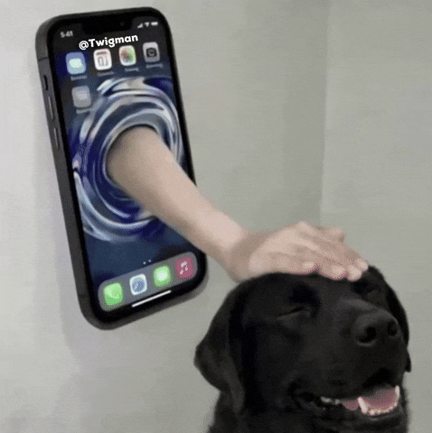 Good Boy Phone