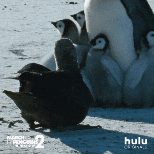 https://media.giphy.com/media/3D2HlN9285I5kldRhL/giphy.gif