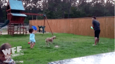 Baseball Fails GIF by World’s Funniest - Find & Share on GIPHY