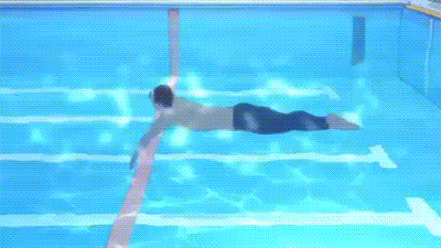 Swimming GIF - Find & Share on GIPHY