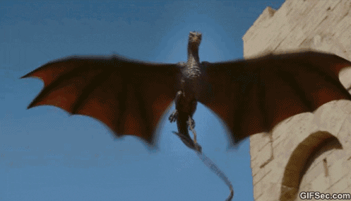 giphy.gif