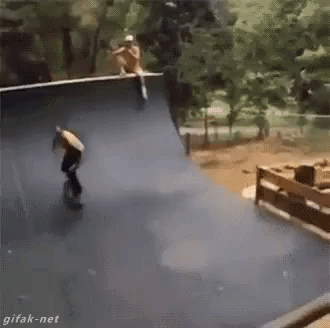 giphy.gif