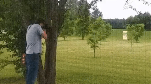 Hold my beer gif