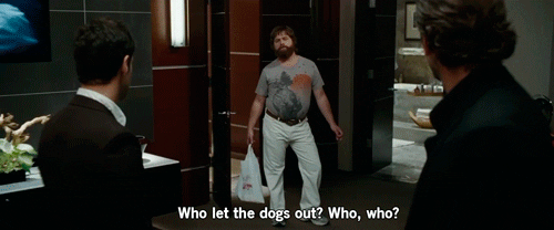 The Hangover Friends GIF - Find & Share on GIPHY