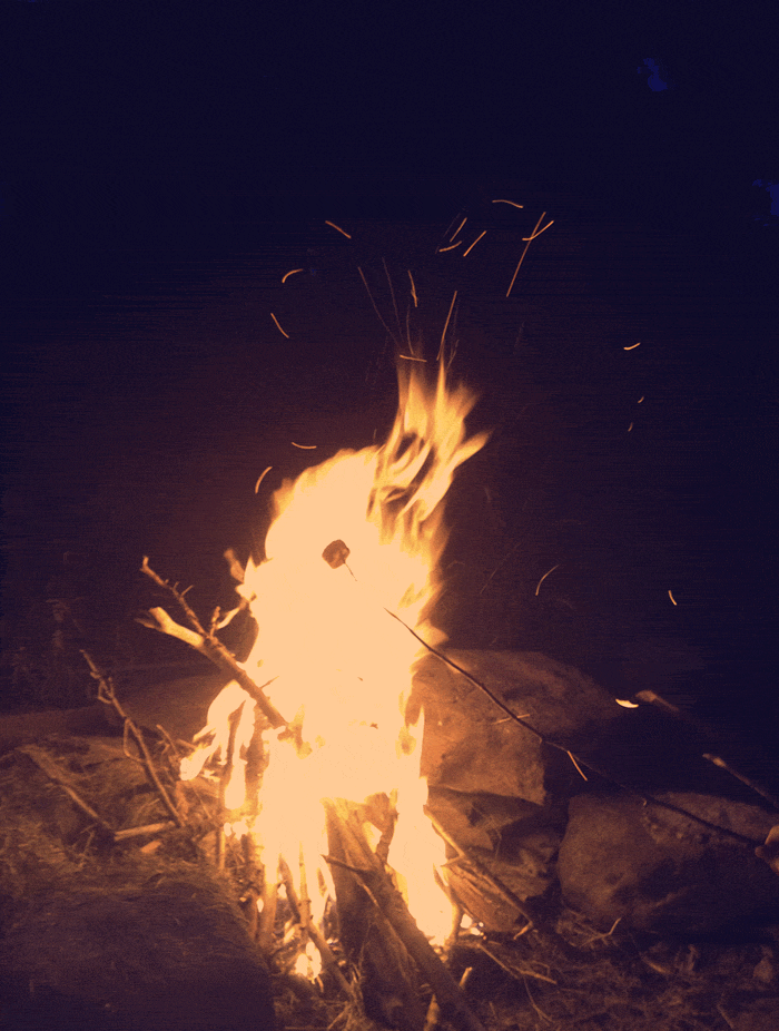 fire summer campfire marshmallows GIF