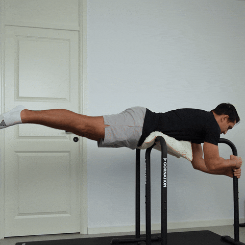 hyperextension hold exercise demonstration