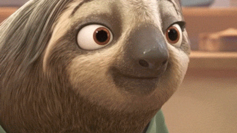 Sloth GIFs - Find & Share on GIPHY