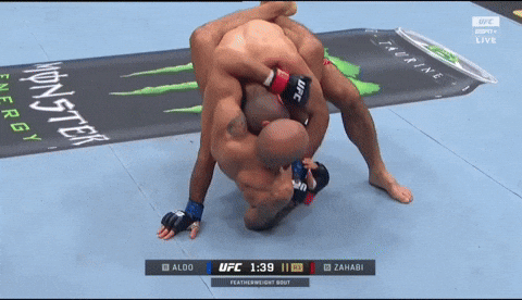 giphy.gif