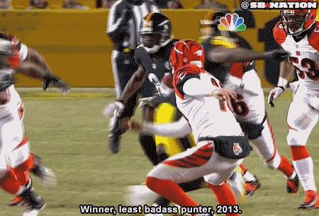 Fans Bengals GIF - Find & Share on GIPHY