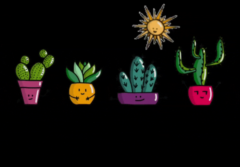 Cute mini cactus GIF