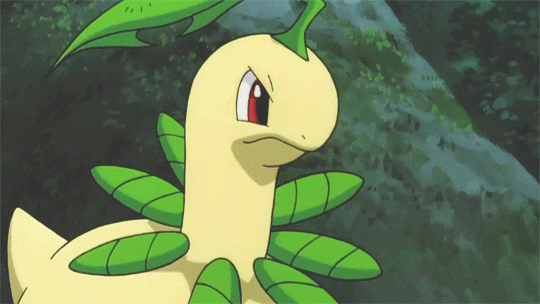 Grass Type Pokemon GIFs - Find & Share on GIPHY
