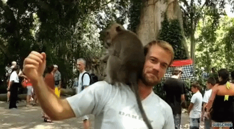 https://media.giphy.com/media/3RA9TSq4tTFKw/giphy.gif