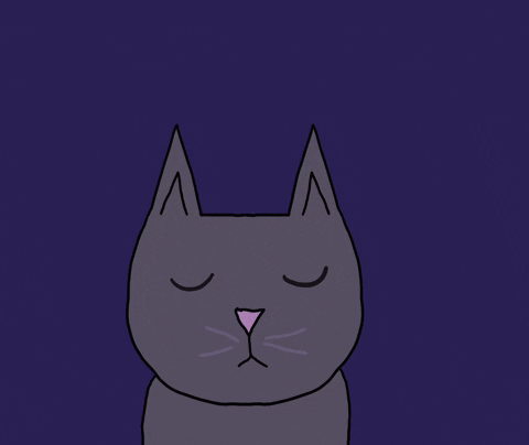 Sleeping Cat GIF - Find & Share on GIPHY