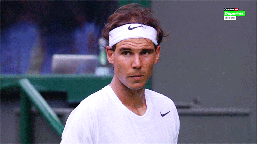Tennis GIF - Find & Share on GIPHY