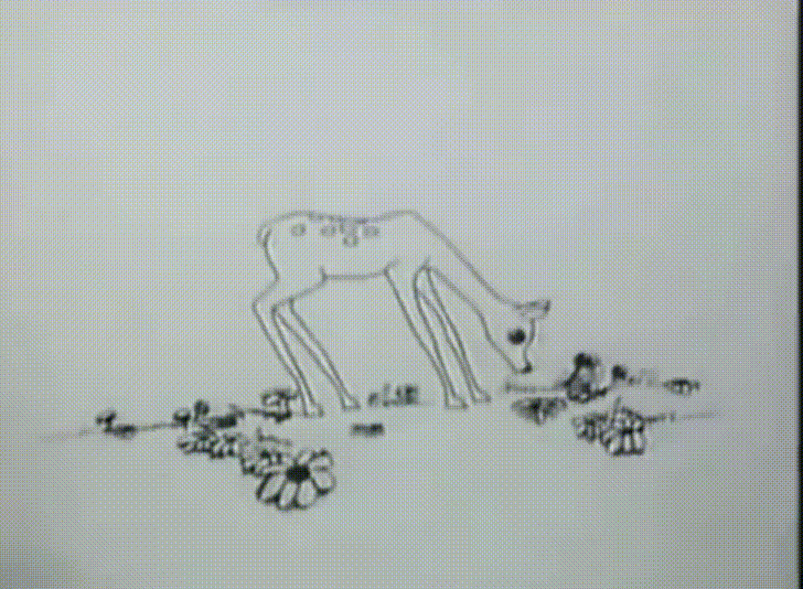 giphy.gif