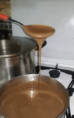 giphy.gif