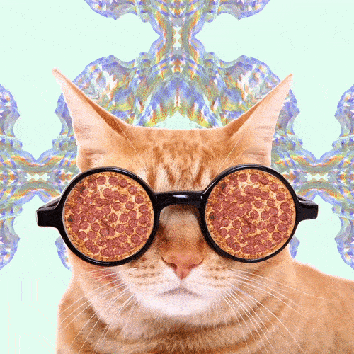 Pizza Love GIF Find & Share on GIPHY