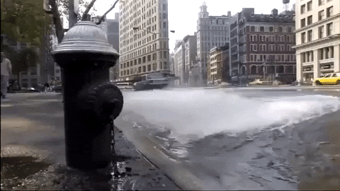 Fire Hydrant GIFs - Find & Share on GIPHY