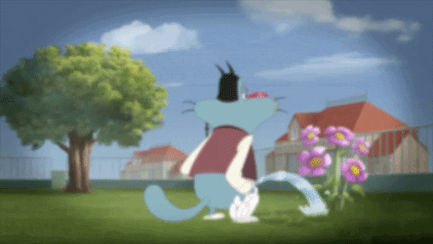 Film Camera GIF By Oggy And The Cockroaches Find Share On GIPHY film-camera-gif-by-oggy-and-the-cockroaches-find-share-on-giphy