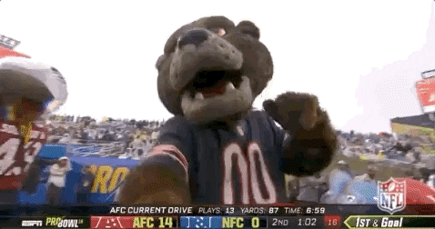 chicago bear touchdown gif chicago bear touchdown gif