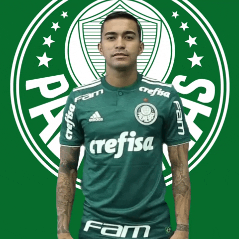 Palmeiras vence Colo-Colo Libertadores Dudu