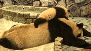 Tired grrrrrrrrrrrrrrr