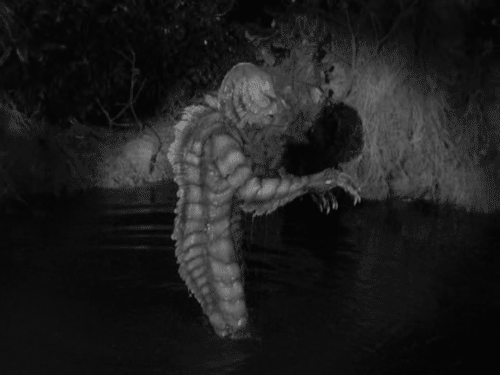 Creature From The Black Lagoon GIF - Find & Share on GIPHY