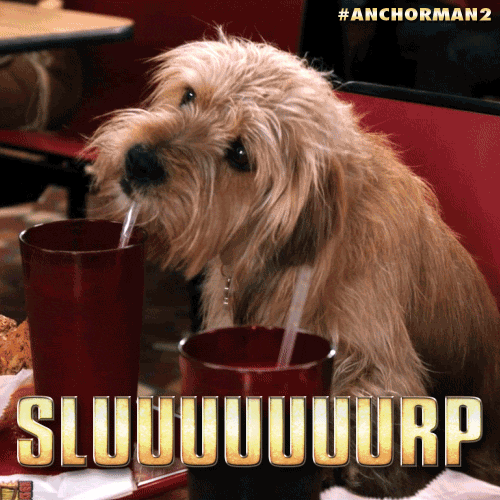 Anchorman Movie GIF - Find & Share on GIPHY