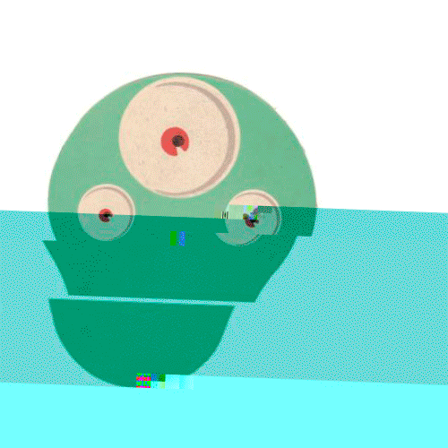 Fight Pie Ou Face GIF Find & Share on GIPHY