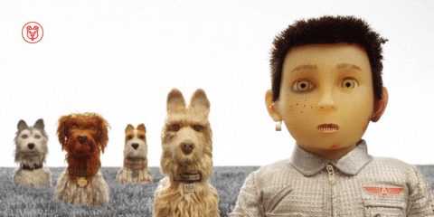 Isle Of Dogs No GIF by Fox Searchlight - Find & Share on GIPHY