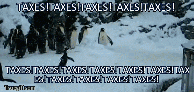 Taxes GIF