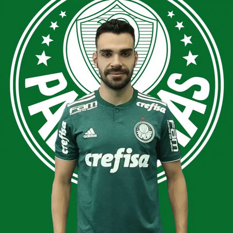 Bruno Henrique Joia GIF by SE Palmeiras