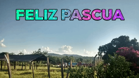 Feliz Pascua A Todos Hoy Votos Para Todos Steemit
