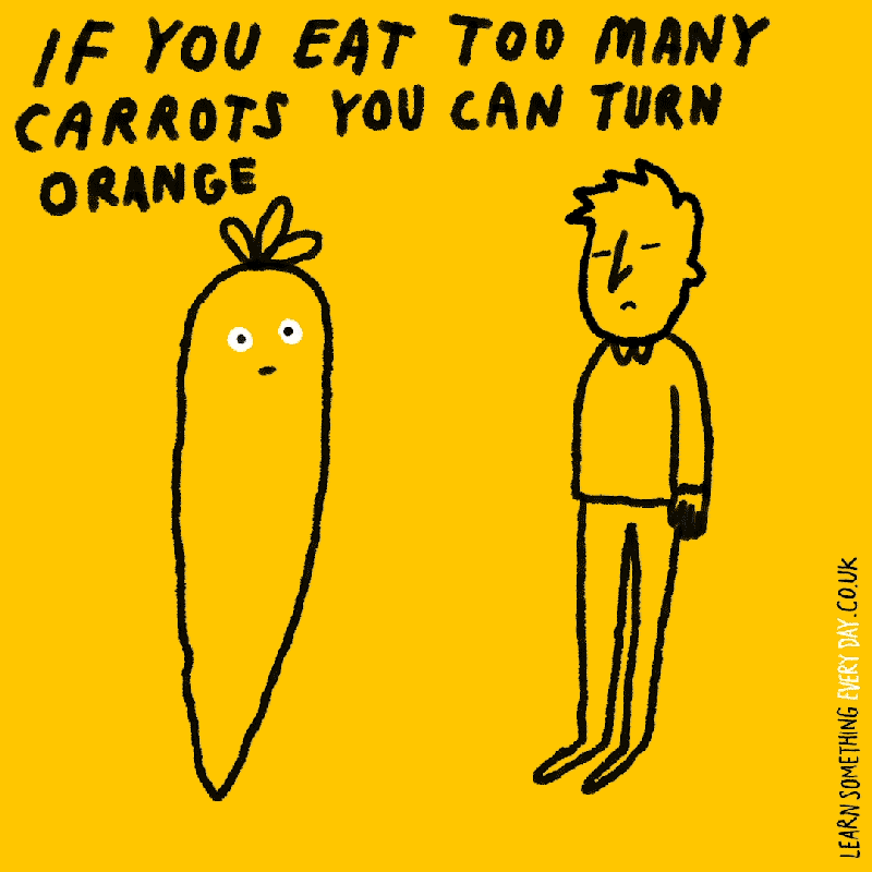Orange Lol GIF by Learn Something Every Day Find & Share on GIPHY