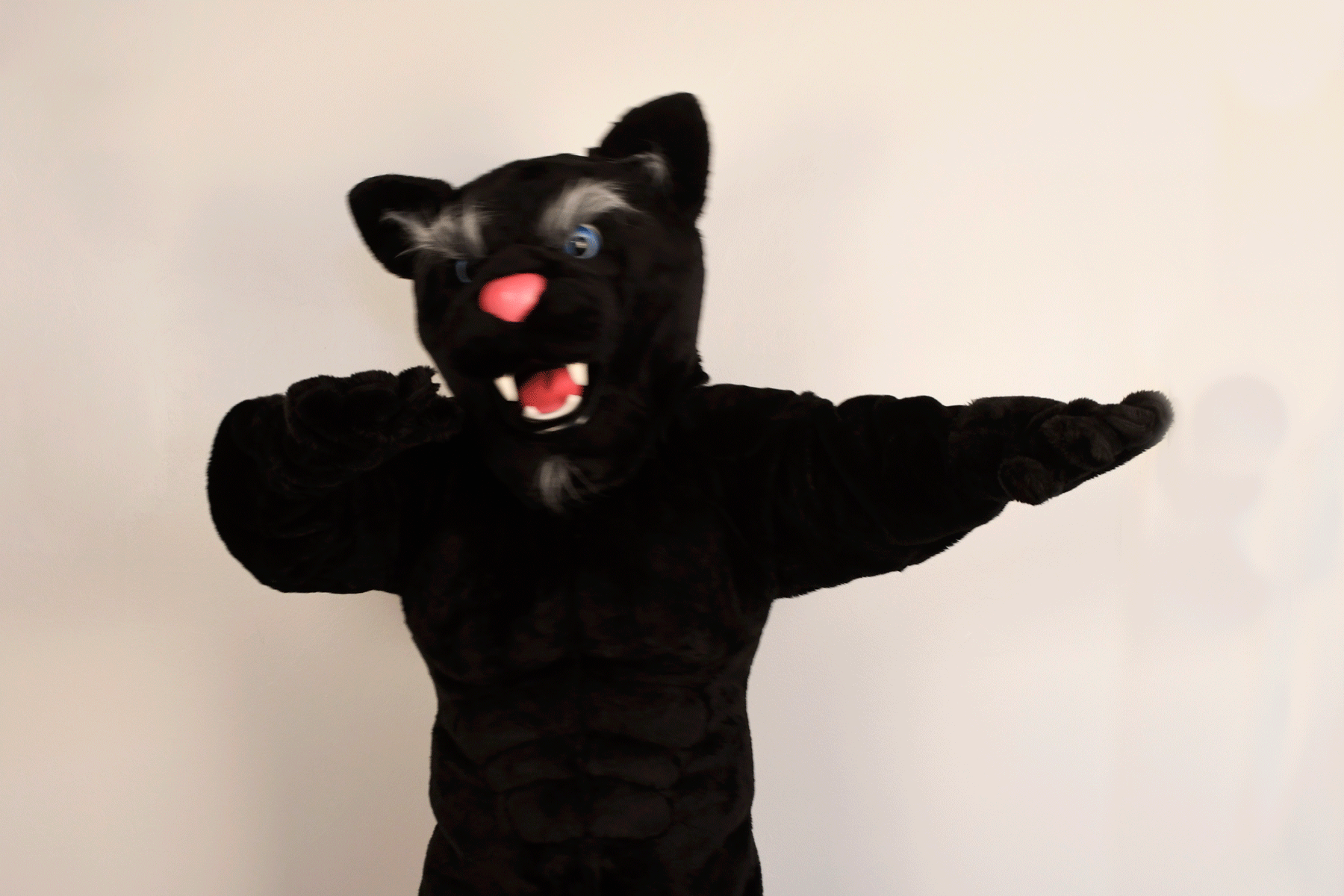 Panther Dab GIFs Get The Best GIF On GIPHY