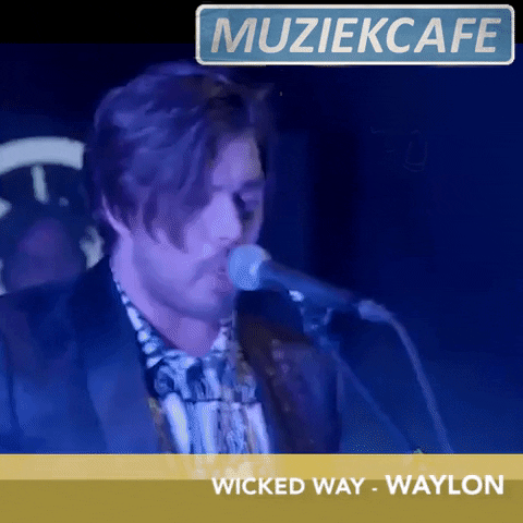 Wicked Way Muziekcafe GIF by NPO Radio 2