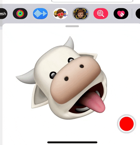 Cow face animation with pink tongue sticking outAnimoji of Jour with text across with caption 