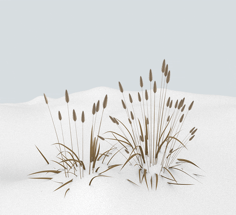 GIF by Sasha Katz - Find & Share on GIPHY