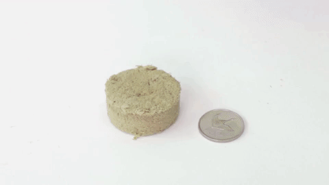 Animated GIF