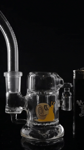 See the C2 Glass Domeless Vapor Hooded Pocket Piece with Detachable Neck in action