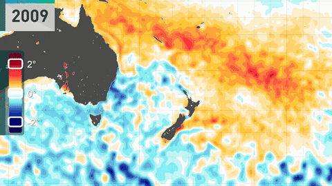 Coastal seas around New Zealand are heading into a marine heatwave, again