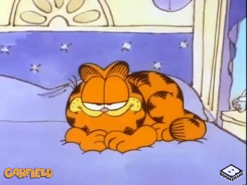 Garfield, an orange cat with black stripes falls asleep 