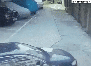 Boss i parked the car in wtf gifs