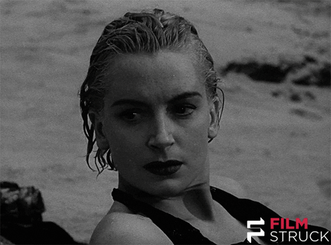 Turner Classic Movies Vintage GIF by FilmStruck - Find & Share on GIPHY