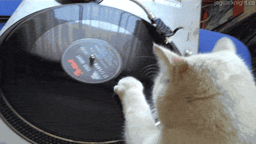 Vinyl Scratch Turntable GIFs - Find & Share on GIPHY