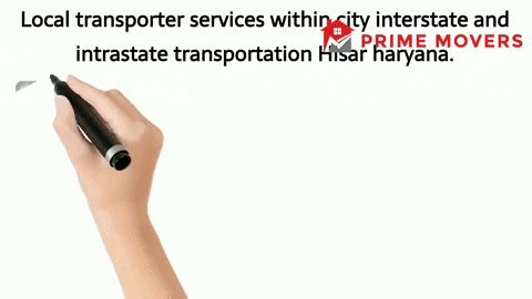 Hisar Local transporter and logistics services (not efficient)