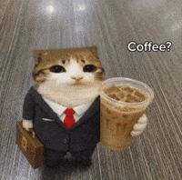 Ти, спокійно вивчаючи списки прислівників за кавою ☕